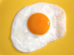 1341382_egg
