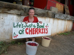 Sonja Stetlzer happily picking cherries