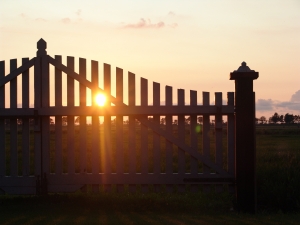 1379743_fence_at_sunset