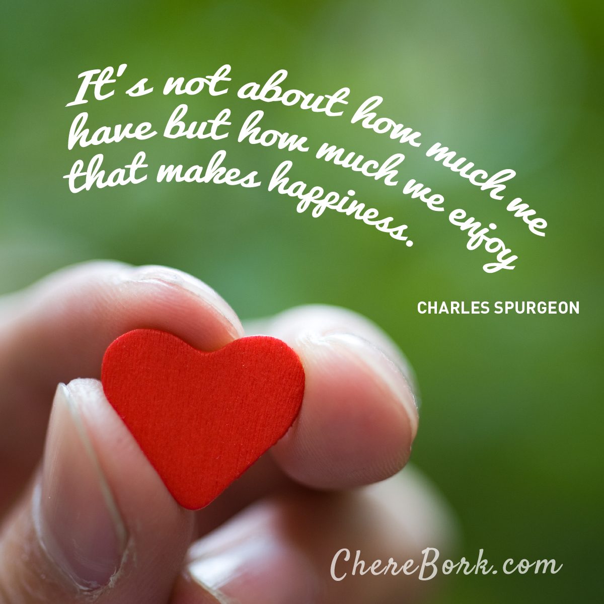 It's not about how much we have but how much we enjoy that makes happiness. -Charles Spurgeon