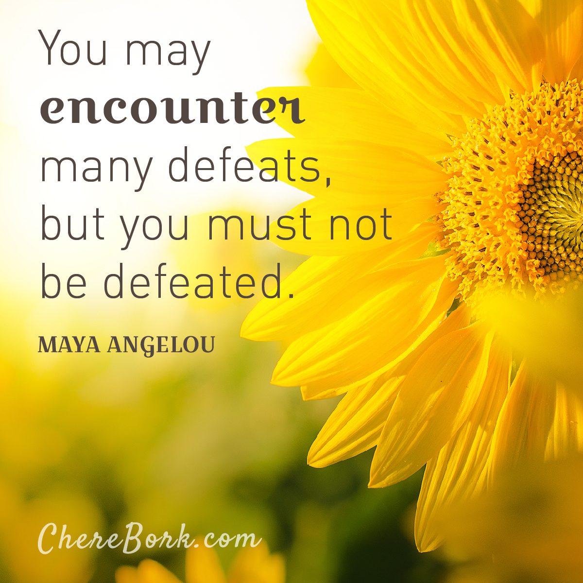 You may encounter many defeats, but you must not be defeated. -Maya Angelou