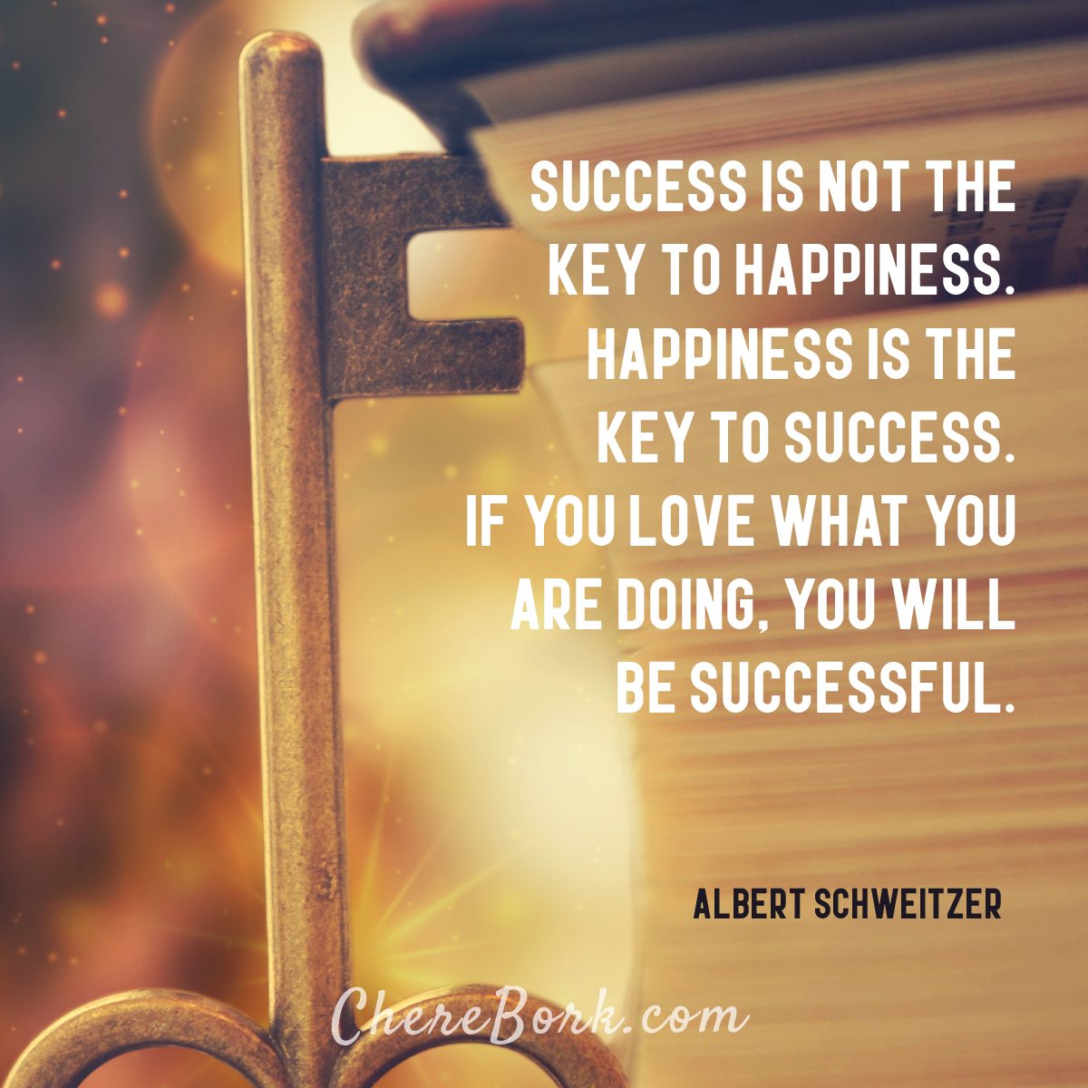 Success is not the key to happiness. Happiness is the key to success. If you love what you are doing, you will be successful. -Albert Schweitzer