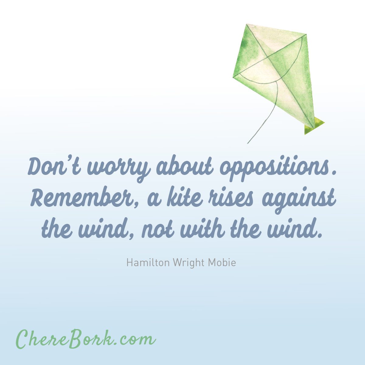 Don't worry about oppositions. Remember, a kite rises against the wind, not with the wind. -Hamilton Wright Mobie