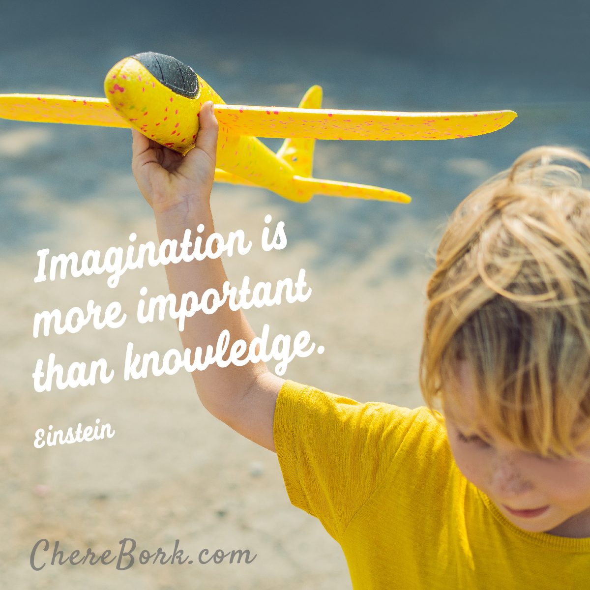 Imagination is more important than knowledge. -Einstein