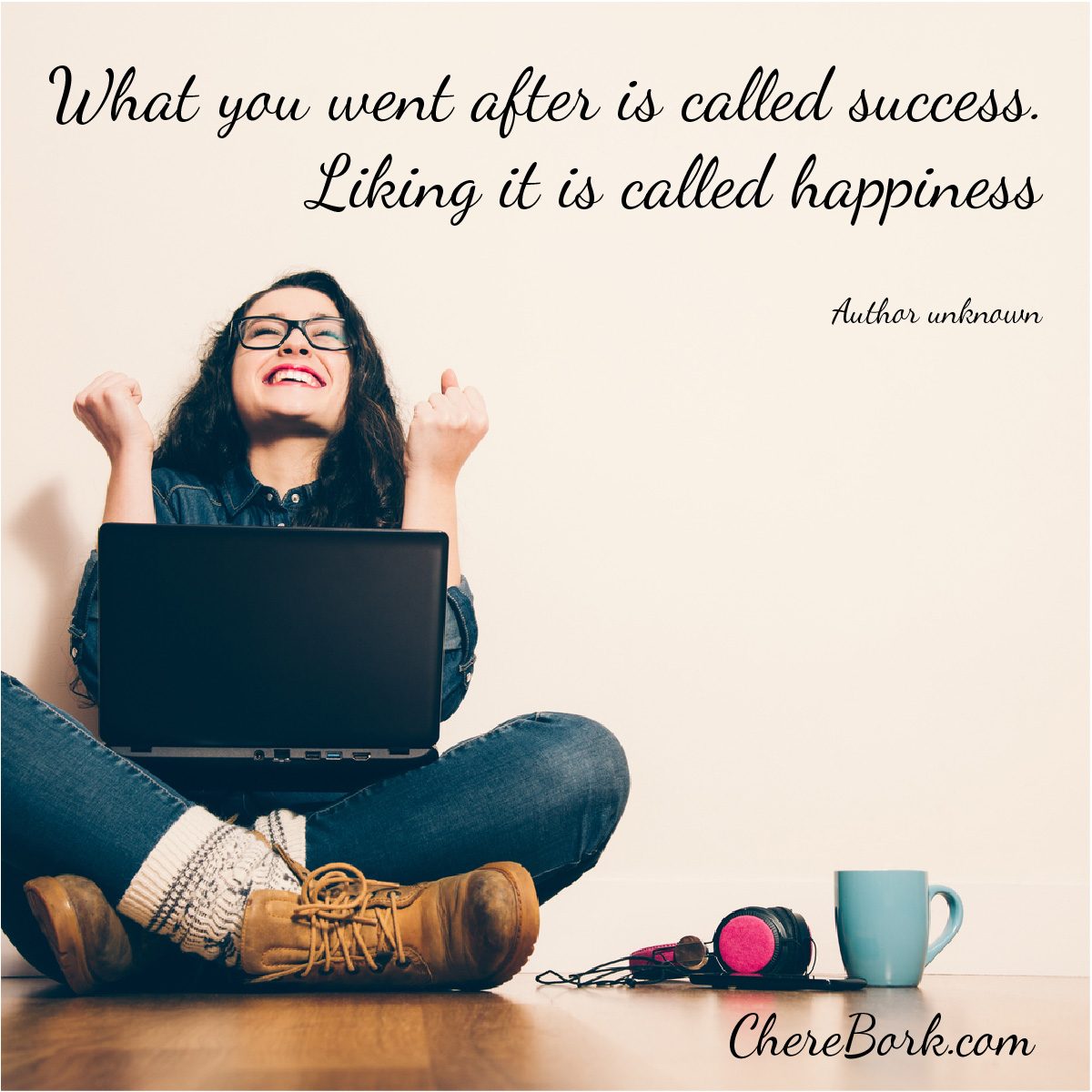 What you went after is called success. Liking it is called happiness. - Author unknown