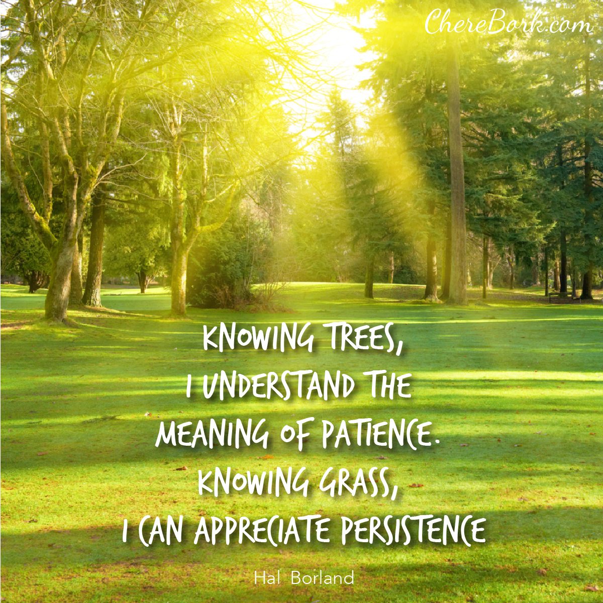 Knowing trees, I understand the meaning of patience. Knowing grass, I can appreciate persistence. -Hal Borland
