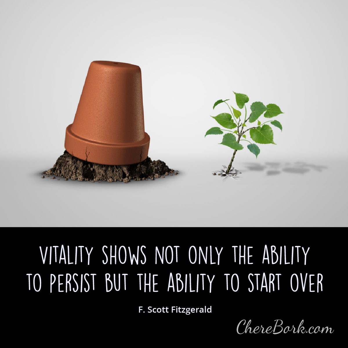 Vitality shows not only the ability to persist but the ability to start over. -F. Scott Fitzgerald