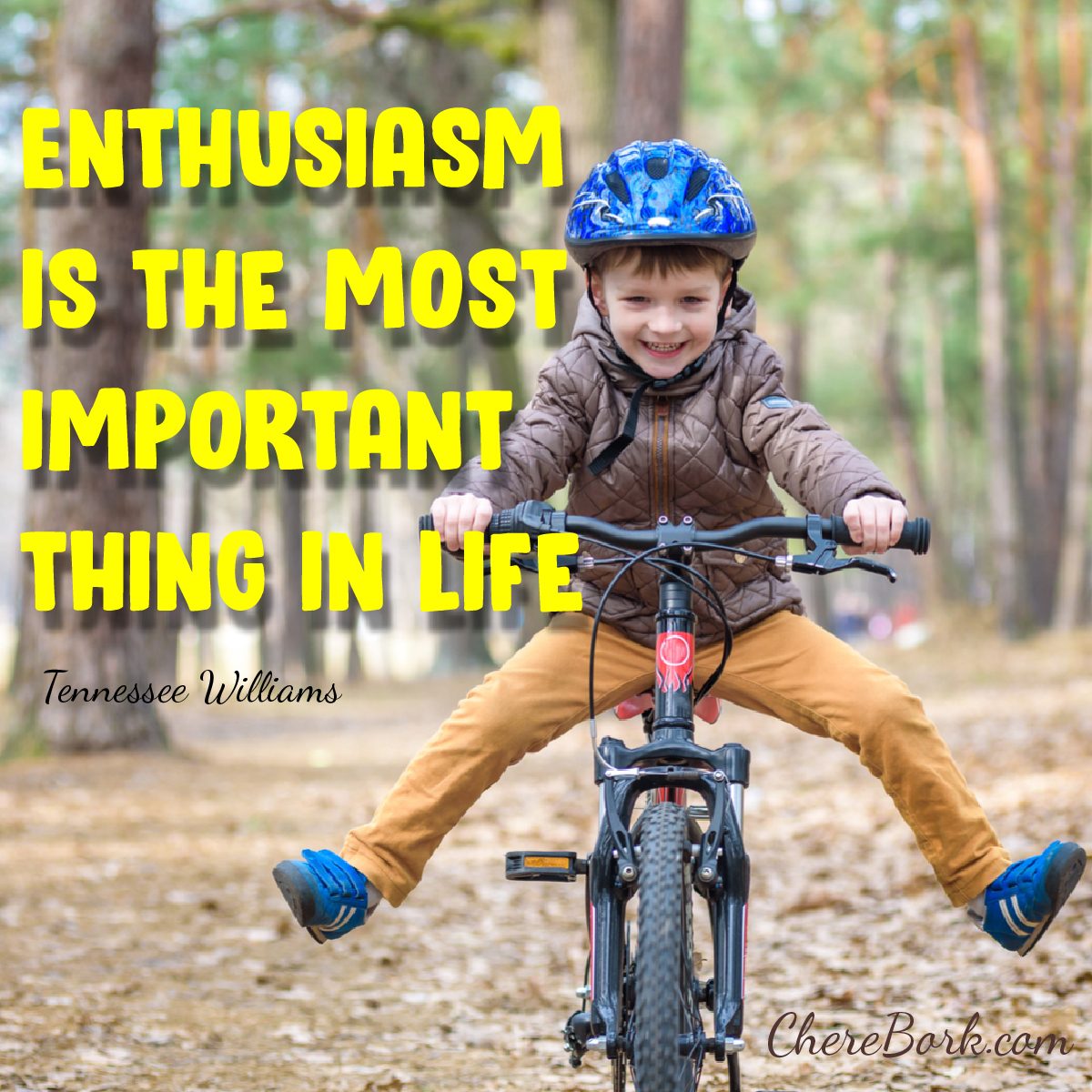 Enthusiasm is the most important thing in life. -Tennessee Williams