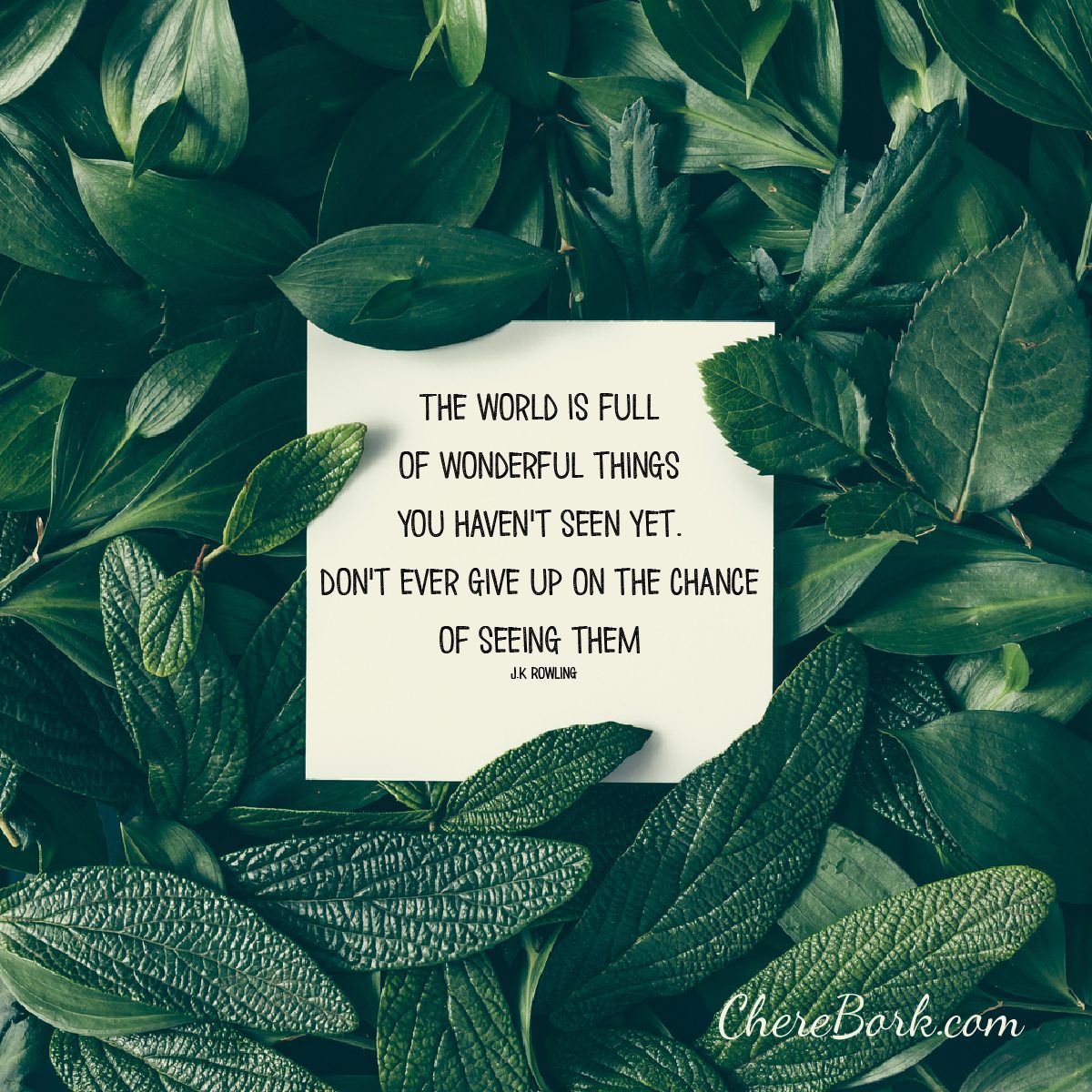 The world is full of wonderful things you haven't seen yet. Don't ever give up on the chance of seeing them. J.K. Rowling