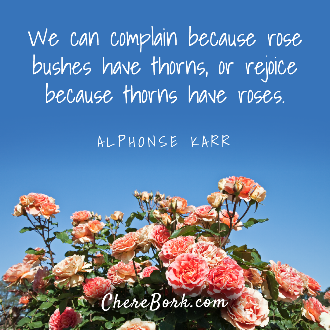 We can complain because roses have thorns, or rejoice because thorns have roses. -Alphonse Karr