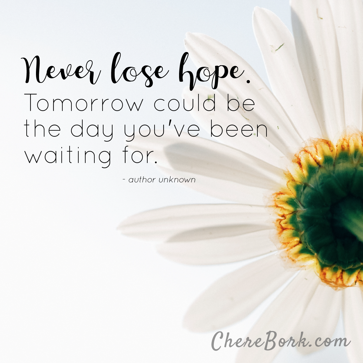 Never lose hope. Tomorrow could be the day you've been waiting for. -Author unknown