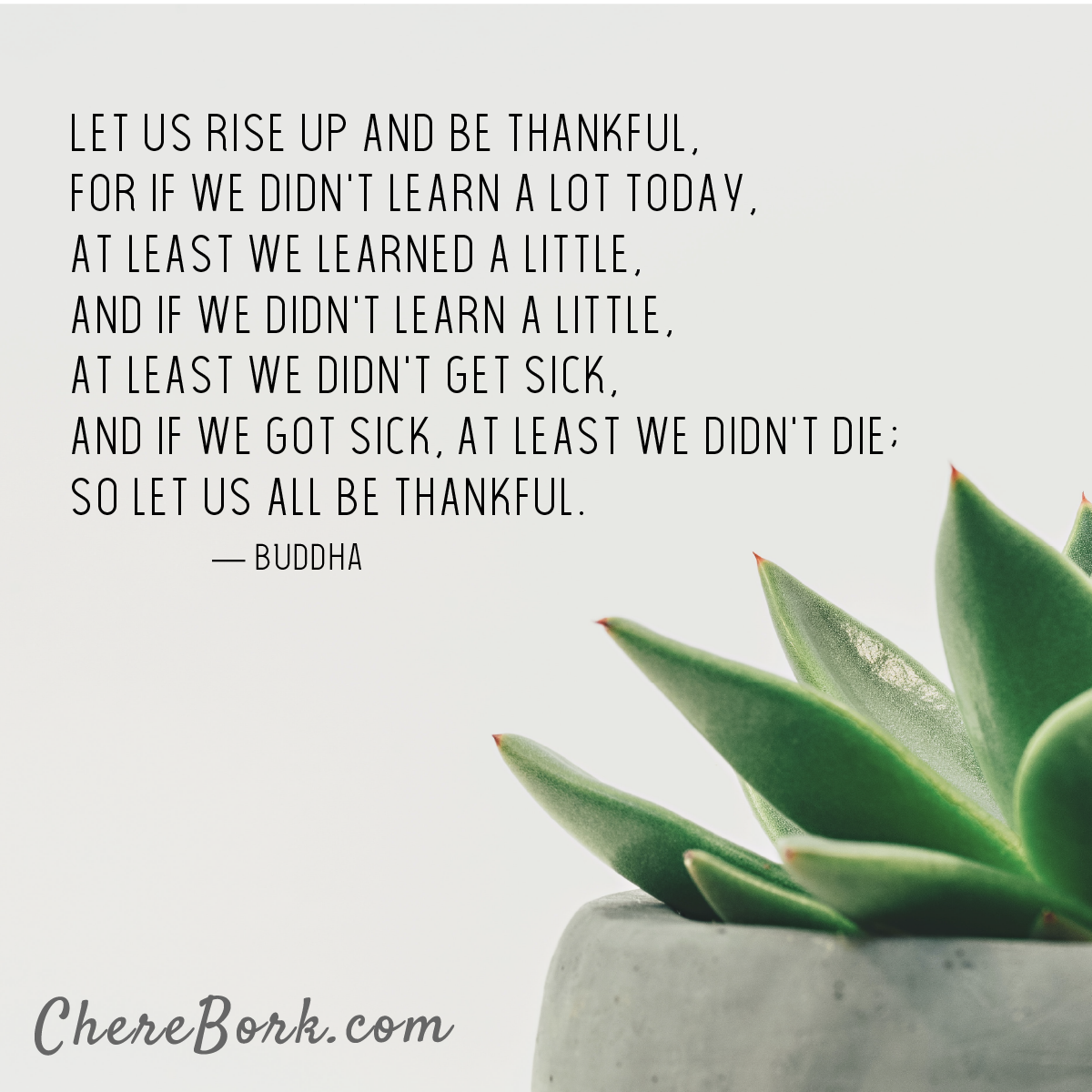 Let us rise up and be thankful, for if we didn't learn a lot today, at least we learned a little, and if we didn't learn a little, at least we didn't get sick, and if we got sick, at least we didn't die; so let us all be thankful. -Buddha