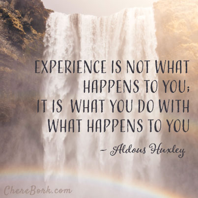 Experience is not what happens to you, it is what you do with what happens to you. – Aldous Huxley