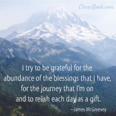 I try to be grateful for the abundance of the blessings that I have, for the journey that I’m on and to relish each day as a gift. – James McGreevey