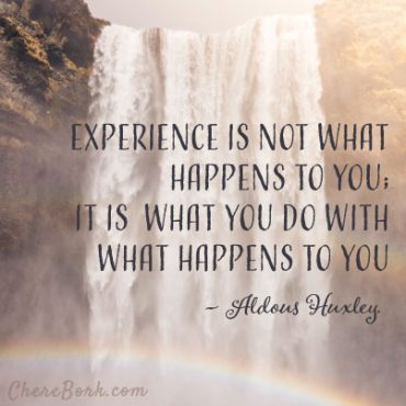 Experience is not what happens to you, it is what you do with what happens to you. – Aldous Huxley