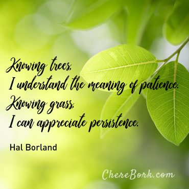 Knowing trees, I understand the meaning of patience. Knowing grass, I can appreciate persistence. -Hal Borland