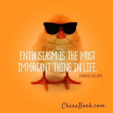 Enthusiasm is the most important thing in life. -Tennessee Williams